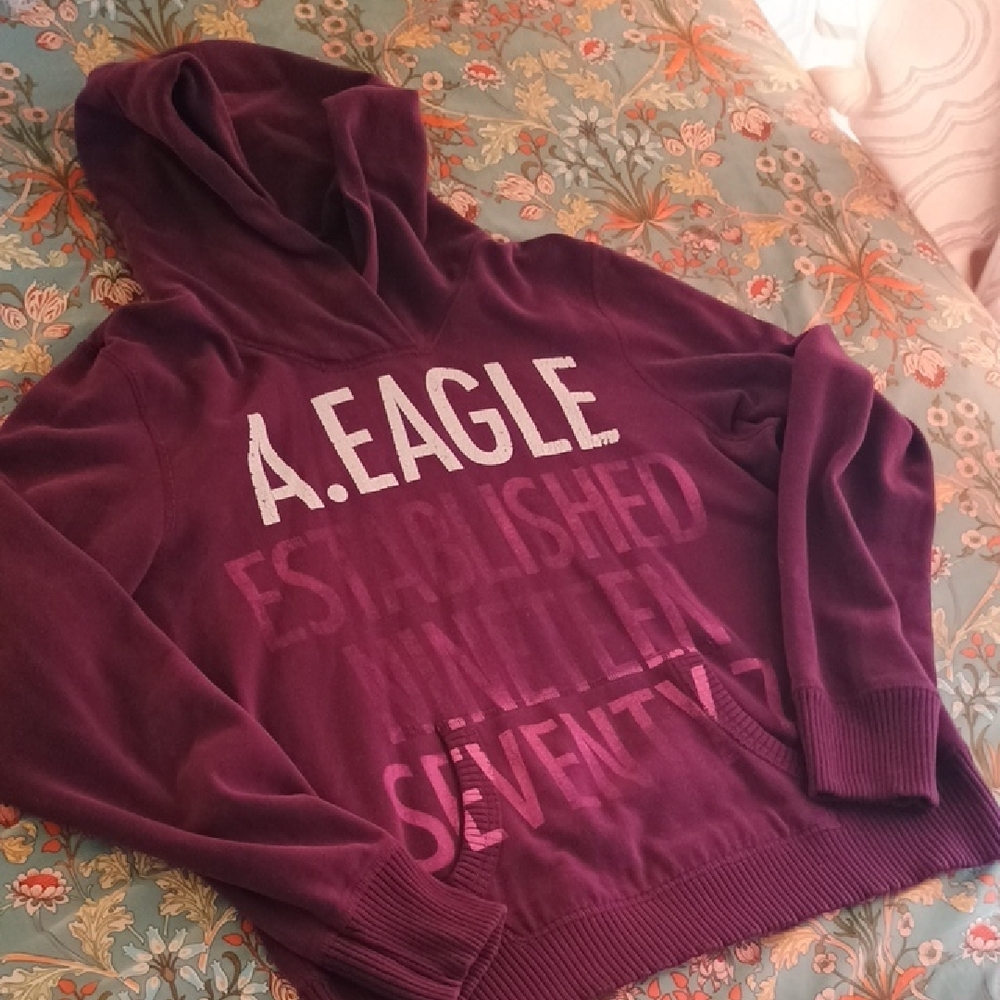 Vintage XL American Eagle Outfitters Purple Hoodie